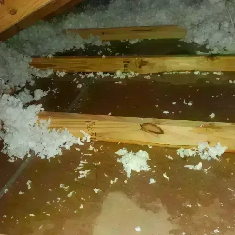 Attic Water Damage in Shannon Hills, AR